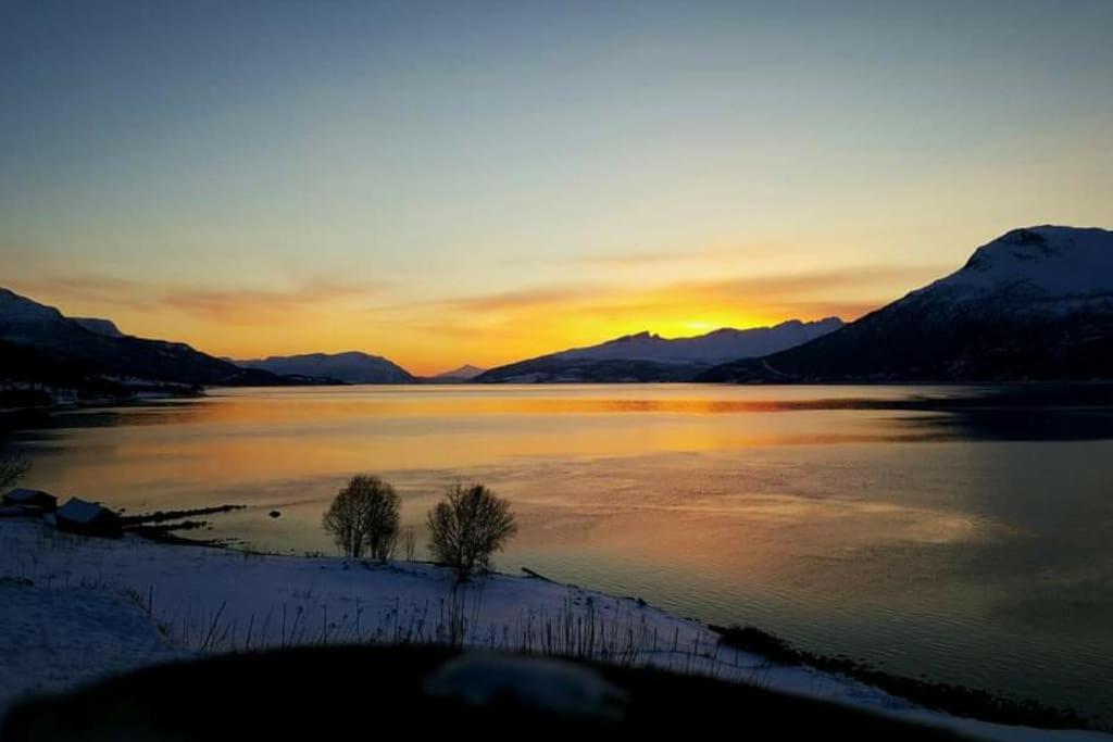 Apartmán Norwegian Dream Gratangen Exteriér fotografie