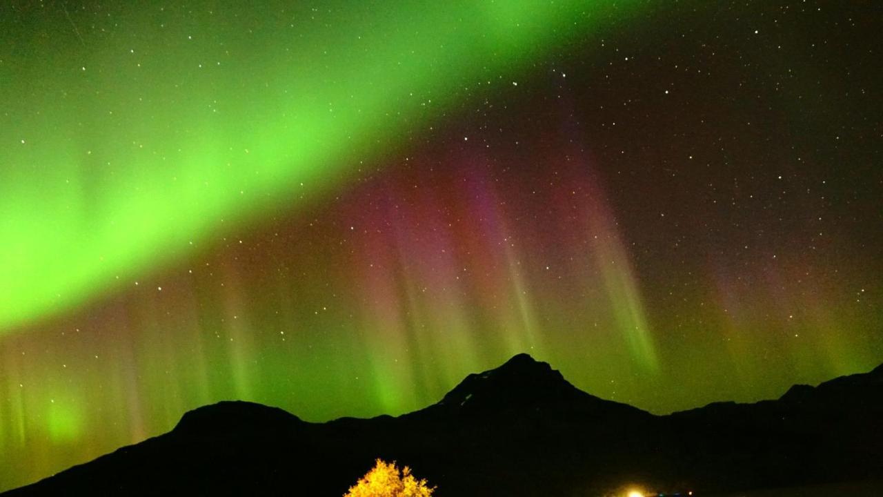 Apartmán Norwegian Dream Gratangen Exteriér fotografie