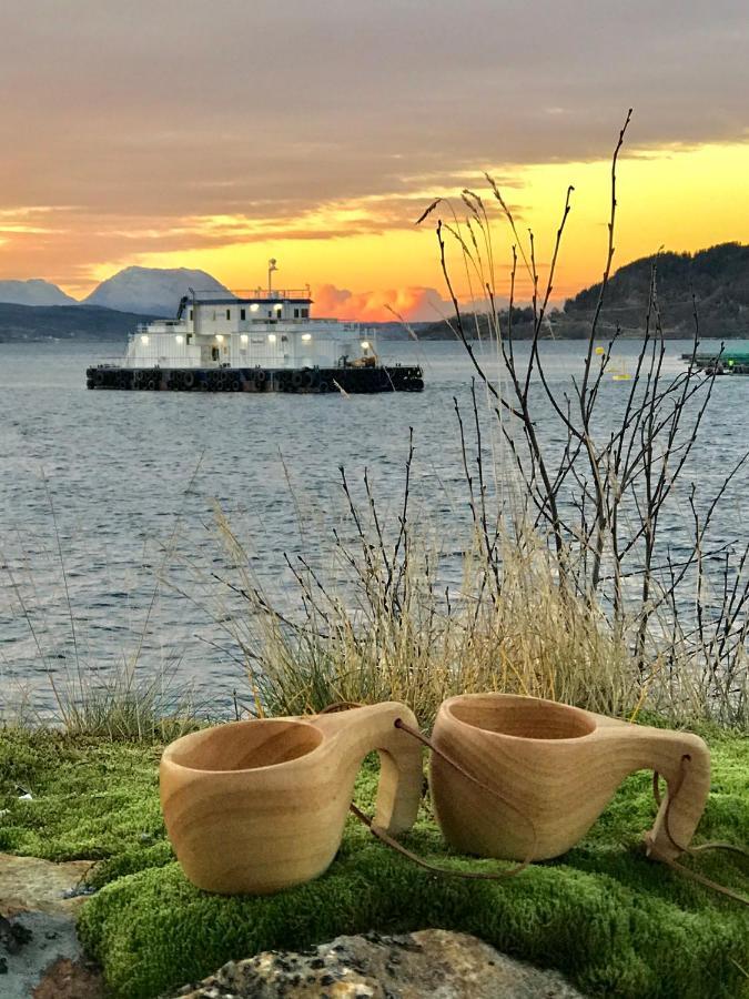Apartmán Norwegian Dream Gratangen Exteriér fotografie