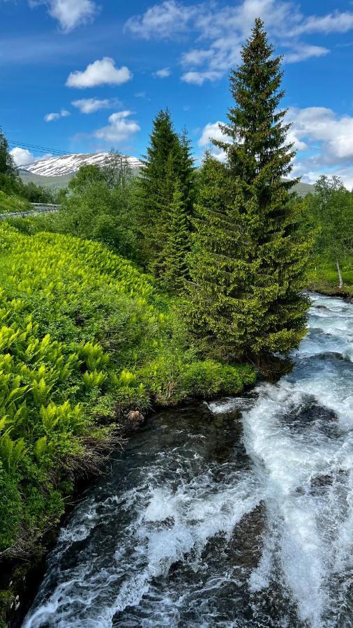 Apartmán Norwegian Dream Gratangen Exteriér fotografie