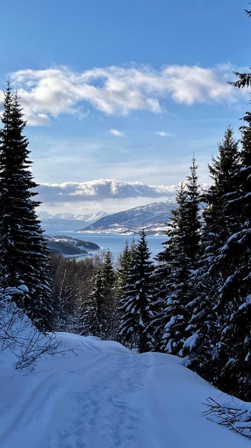 Apartmán Norwegian Dream Gratangen Exteriér fotografie