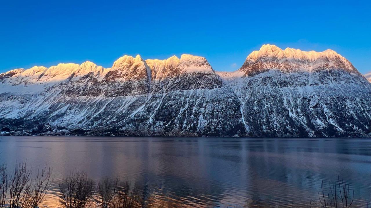 Apartmán Norwegian Dream Gratangen Exteriér fotografie