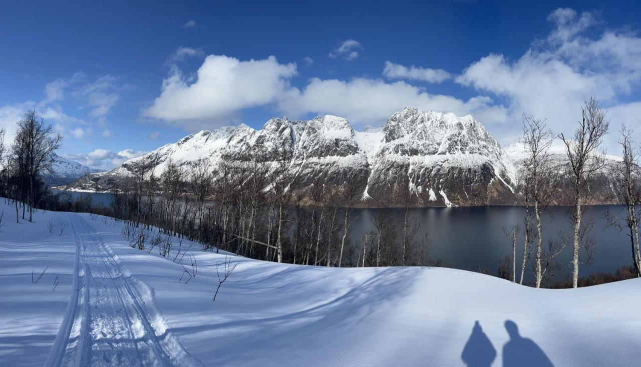 Apartmán Norwegian Dream Gratangen Exteriér fotografie