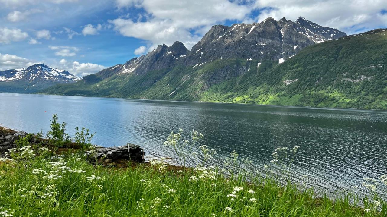 Apartmán Norwegian Dream Gratangen Exteriér fotografie