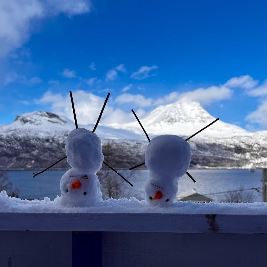 Apartmán Norwegian Dream Gratangen Exteriér fotografie