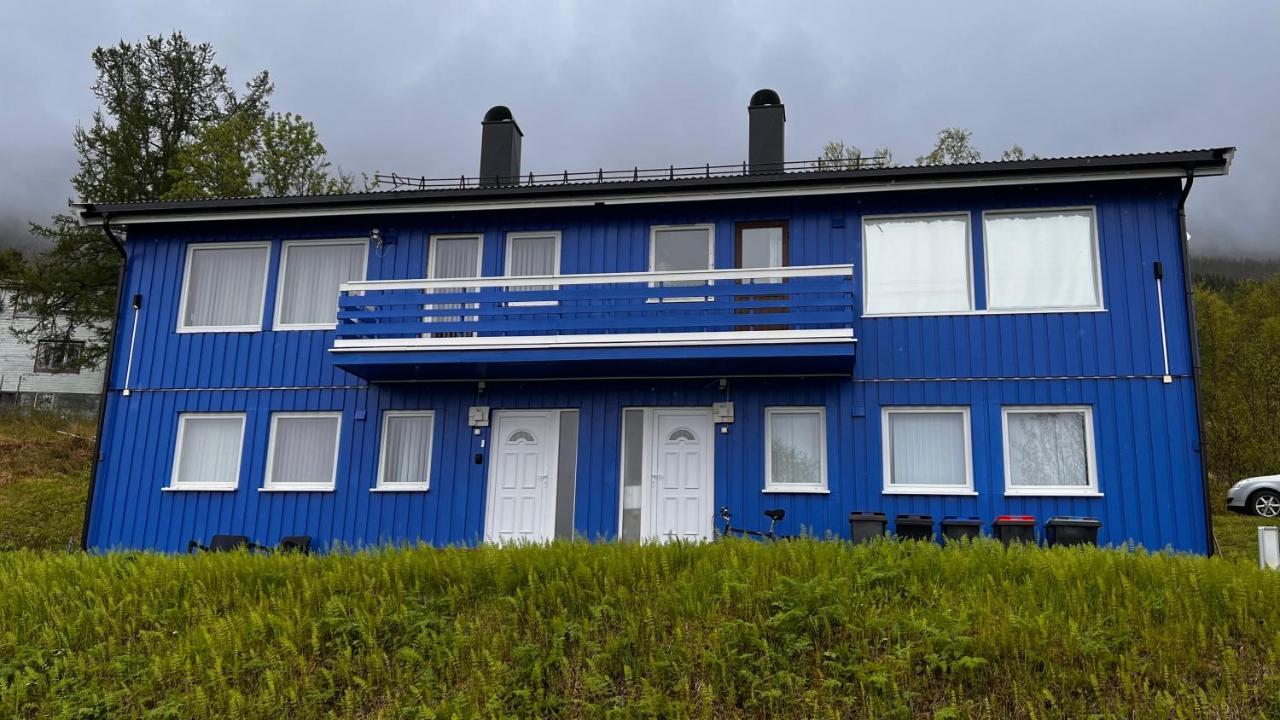 Apartmán Norwegian Dream Gratangen Exteriér fotografie